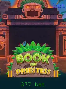 Explorando BookOfPriestess: As Regras e o Fascínio do Jogo com 377 Bet